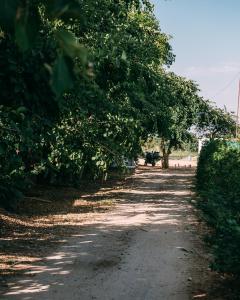 Galeriebild der Unterkunft The Luxe Pushkar - A Luxury Farmstay in Pushkar in Pushkar + 114 Fotos