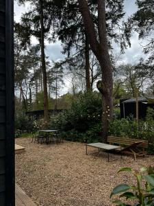 una zona de picnic con dos bancos y un árbol en Ultiem ontspannen in compleet ingericht tiny house in bosrijke omgeving, en Nunspeet