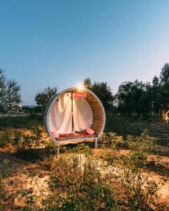 Galeriebild der Unterkunft The Luxe Pushkar - A Luxury Farmstay in Pushkar in Pushkar