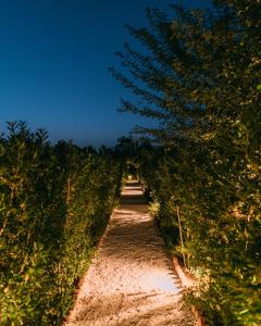 a row of trees in an apple orchard at The Luxe Pushkar By Namli Hotels in Pushkar