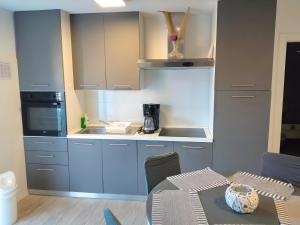 Kuhinja ili čajna kuhinja u objektu Apartment Patrik