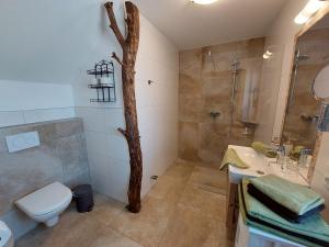 a bathroom with a shower and a toilet and a sink at Seyerlehnerhof in Maria Neustift