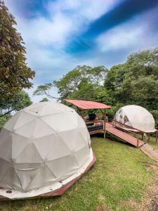 比亞維森西奧的住宿－Itawa Family Glamping & Ecoparque turístico，几个圆顶正坐在草地上