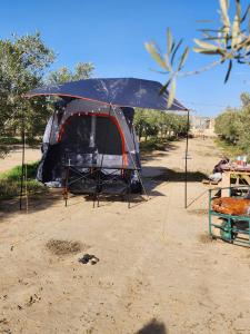 a tent is set up on a dirt road at חוות נועם במדבר - noam farm in Mitzpe Ramon