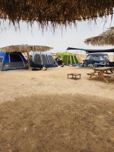a group of tents and a picnic table on a beach at חוות נועם במדבר - noam farm in Mitzpe Ramon