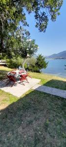 a red picnic table sitting under a tree next to the water at Apartmani Miholjska prevlaka in Tivat