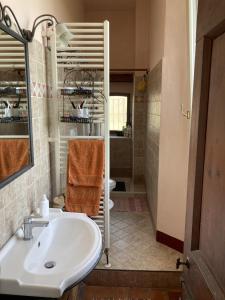 uma casa de banho com um lavatório e um chuveiro em Palazzo Giulia em Brisighella