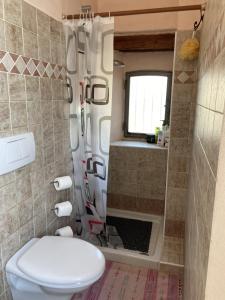 uma casa de banho com um WC branco e um chuveiro em Palazzo Giulia em Brisighella