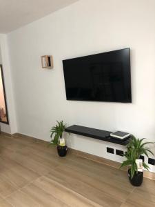 a living room with a flat screen tv and two plants at Tu apartamento en vacaciones in Puerto de la Cruz