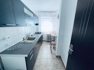 cocina con fregadero y encimera en Apartament in Regim Hotelier en Bacău