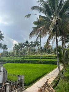 MyHome - Lombok外面的花园