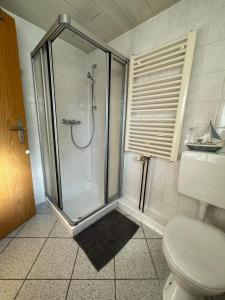 a bathroom with a shower and a toilet at Sanders Ferienhaus in Winsen Aller