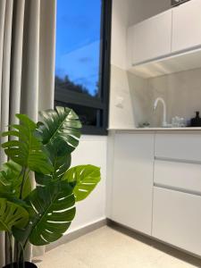 Gallery image of White Door Apartments in Haifa