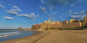 a view of a beach with a large building at Il nido del Cuculo in Termoli
