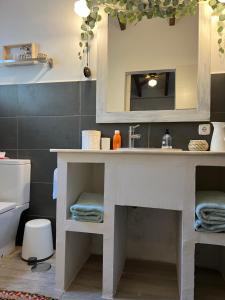 een badkamer met een wastafel en een toilet bij Casa Pipa Alhaurín el Grande - vrijstaande casita met privé zwembad en grote tuin in Málaga