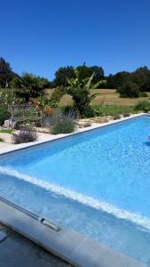 a large blue swimming pool in a garden at Gite La Pipistrelle 