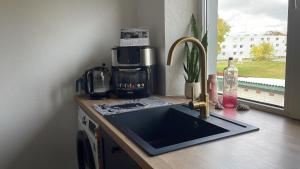 Kuchyň nebo kuchyňský kout v ubytování Sepa Apartement