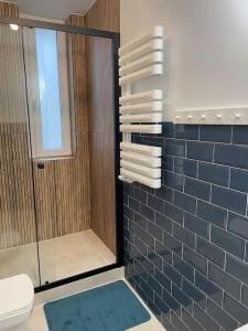 een badkamer met een douche, een toilet en handdoeken bij A.S.Apartament B Okrzei 4 in Olsztyn
