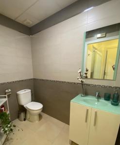 La salle de bains est pourvue de toilettes, d'un lavabo et d'un miroir. dans l'établissement Aeropuerto-Churriana-Golf, à Malaga