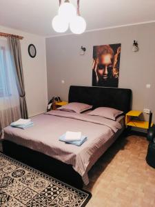 a bedroom with a large bed with a poster on the wall at Casa Cataleya in Bucşoaia