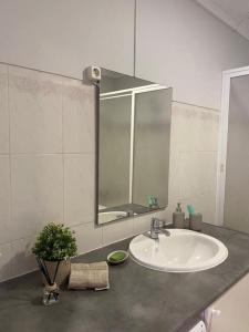 lavabo con espejo y maceta en Mar à vista - Seaview apartment, en Ericeira