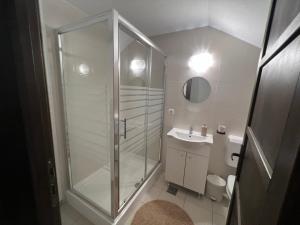 ein Badezimmer mit Dusche und Waschbecken in der Unterkunft Trout Cottage in Bran + 55 Fotos