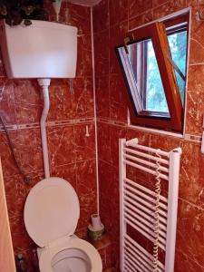 baño con aseo y ventana en Apartmánová chata Martina, en Hradišťko