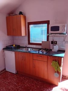 una pequeña cocina con fregadero y microondas en Apartmánová chata Martina, en Hradišťko