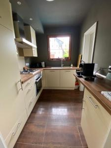 Kuchyň nebo kuchyňský kout v ubytování Megina Lodge
