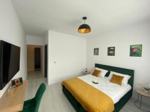 a bedroom with a large bed and a television at Vila Moga in Sînmartin