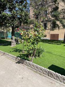 a small tree in the middle of a park at Cucchiari Suite 8B in Modena