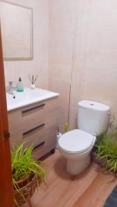 a bathroom with a toilet and a sink and a mirror at Chalet luminoso in L’Alfàs del Pi