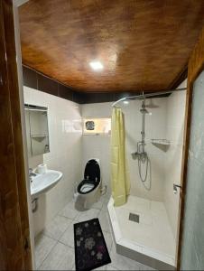 uma casa de banho com um WC, um lavatório e um chuveiro em Charming Countryside Oasis Near Horsens, 2 em Hornsyld