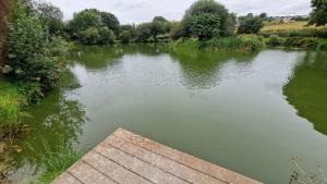 Foto dalla galleria di Roecliff a St Austell Altre 14 foto