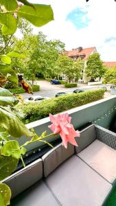eine rosa Blume auf dem Balkon in der Unterkunft Premium Wohnung in Bestlage! in München