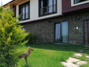 a deer standing in the grass next to a house at Royal Villa in Trabzon