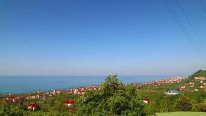 een stad op een heuvel met huizen en de oceaan bij Royal Villa in Trabzon