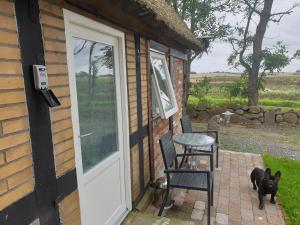 um cão ao lado de uma mesa e uma porta em Cozy Hideaway - Rustic Charm & Outdoor Adventure 1 em Hornsyld