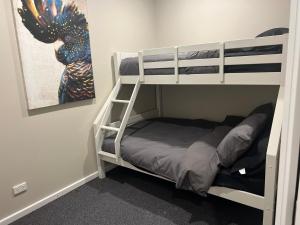 łóżko piętrowe z drabiną i łóżkiem piętrowym w obiekcie Lambert's Little Paradise w mieście Altona