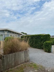 a privacy hedge in front of a house at BLUE BEACH HOUSE in Breskens