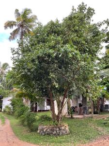 a tree in front of a house at Bird Villa in Galle
