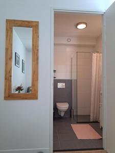een badkamer met een toilet en een spiegel bij Dubbelink 3A in Amsterdam