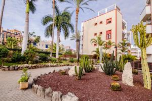 a garden with cacti and palm trees in front of a building at Mambo Palm-Mar apartment in Palm-mar