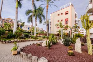 Κήπος έξω από το Mambo Palm-Mar apartment