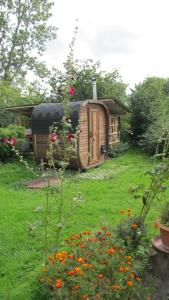 una pequeña cabaña de madera en un patio con flores en Am Wolfsbach 5 en Weitenhagen