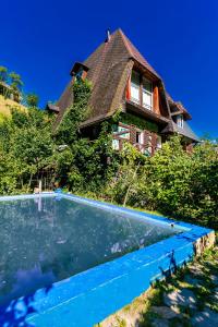 a house with a swimming pool in front of it at Salo I Mandry Apartment in Rakhiv