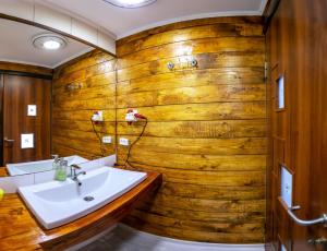 a bathroom with a sink and a wooden wall at Salo I Mandry Apartment in Rakhiv