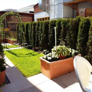 einen Garten mit einer Bank und einer Topfpflanze in der Unterkunft Ferienzimmer Appenzell in Appenzell