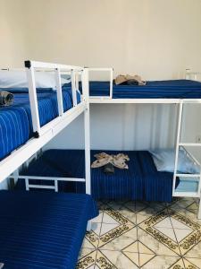 Postel nebo postele na pokoji v ubytování Tamboleiros Hotel & Hostel