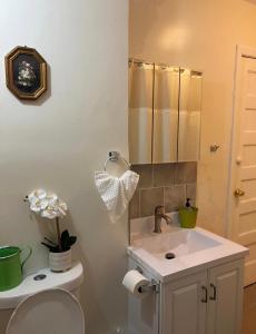bagno con lavandino, servizi igienici e specchio di Victorian Palace-Pecan Room a East Orange